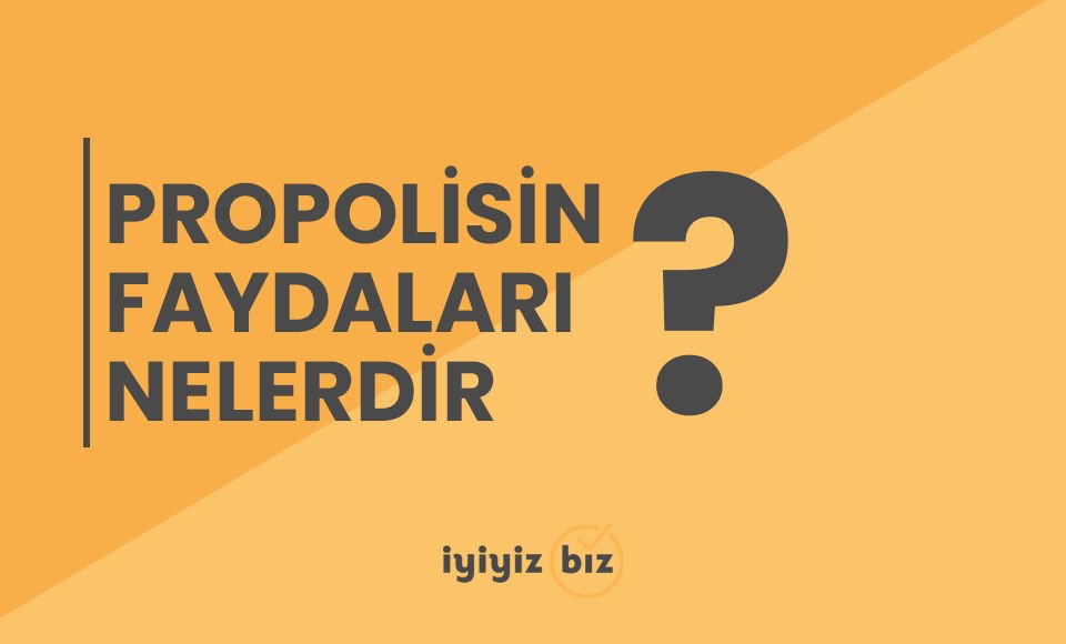 Propolisin Faydaları Nelerdir?