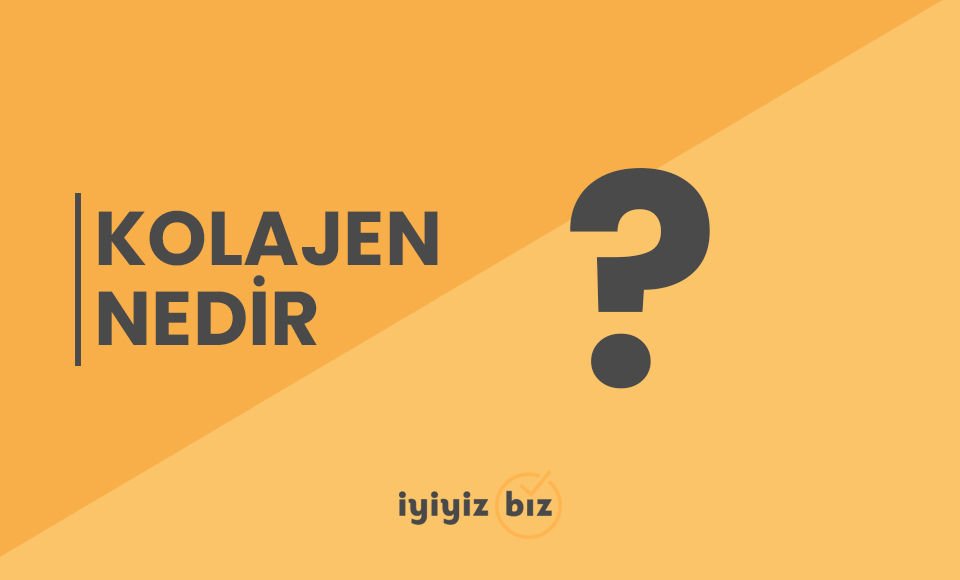 Kolajen nedir?