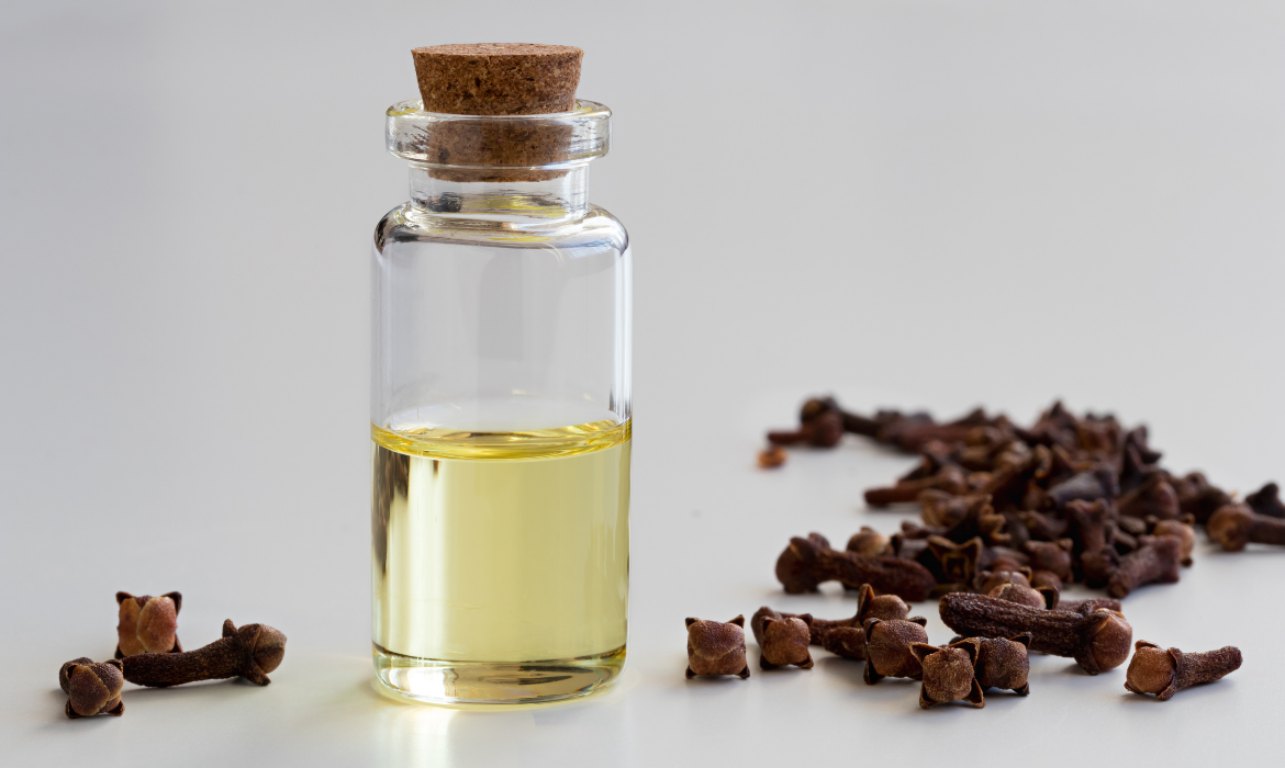 Karanfil Yağı Nedir? Saça ve Cilde Faydaları Nelerdir?