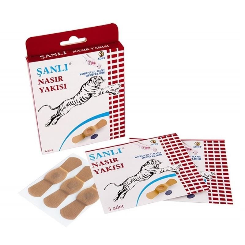 Şanlı Nasır Bandı