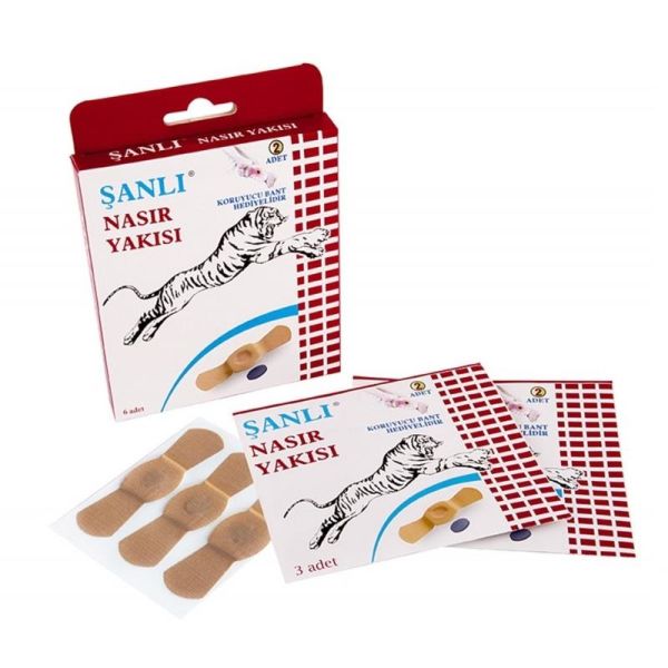 Şanlı Nasır Bandı