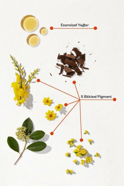 Phyto Phytocolor Bitkisel Saç Boyası - 6.77 Cappuccino Kahve