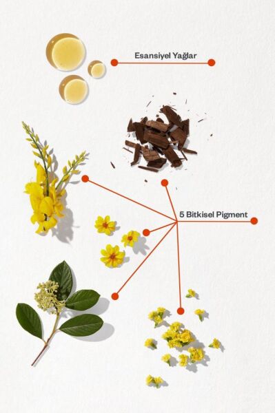 Phyto Color Saç Boyası - Koyu Kestane 3