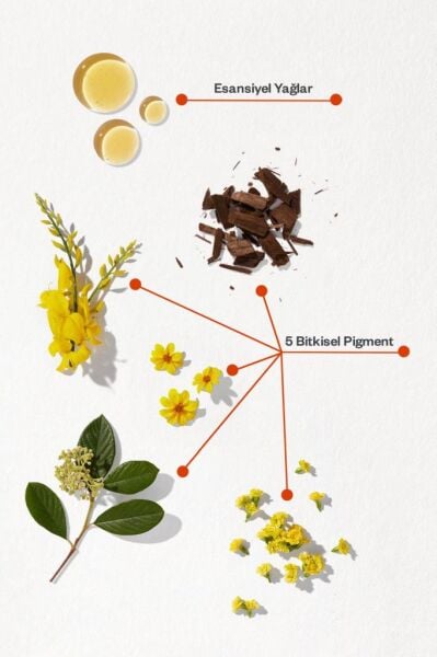 Phyto Color Saç Boyası 4 Kestane